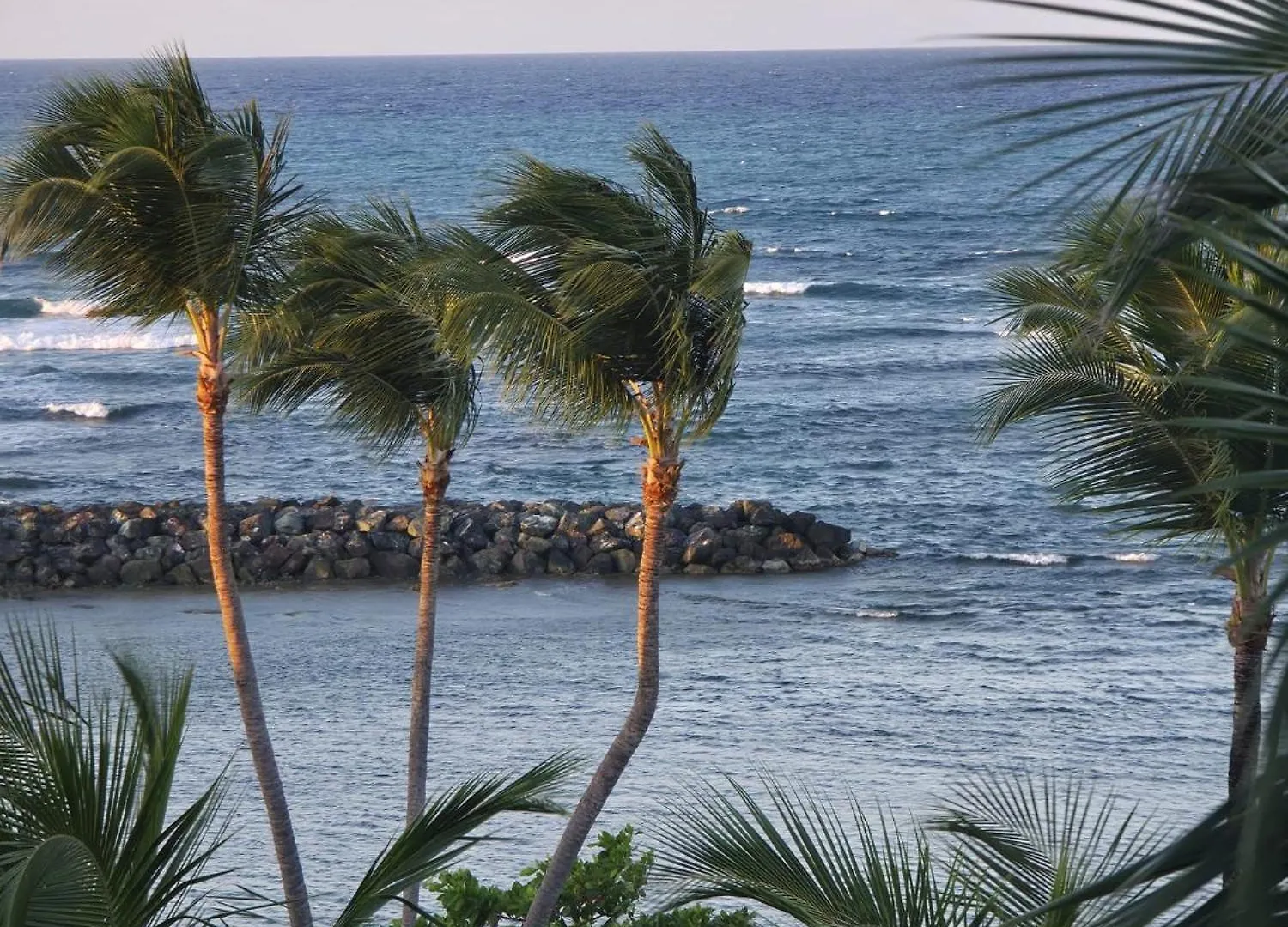 King Suite Oceanview Private Access Beach Dorado Apartment